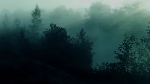 Fog Wallpapers, Fog Wallpapers, Fog Wallpapers, Fog Wallpapers, Fog Wallpapers, Fog Wallpapers, Fog Wallpapers, Fog Wallpapers, Wallpaper