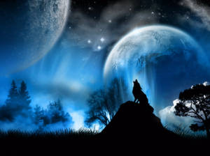 Follow The Call Of The Wild Wallpaper