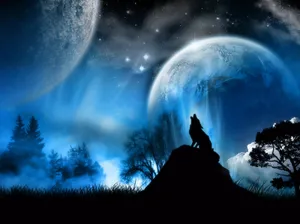 Follow The Call Of The Wild Wallpaper