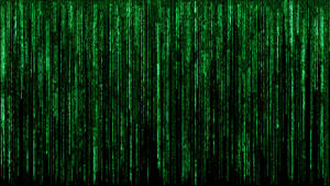 Follow The Code Of The Matrix Wallpaper