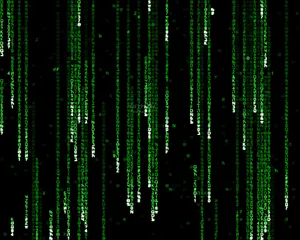 Follow The White Rabbit And Uncover The Secrets Of The Matrix Wallpaper