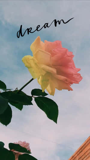 Follow Your Dreams And Create Your Life. Wallpaper