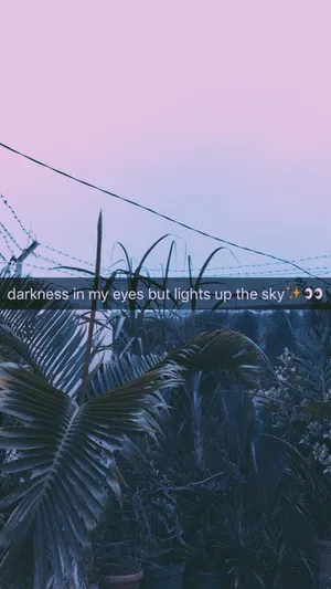 Follow Your Dreams And Reach For The Stars ⭐️ Wallpaper