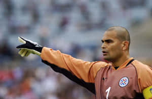 Footballer Jose Luis Chilavert In World Cup Second Round Match Wallpaper