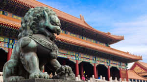 Forbidden_ City_ Lion_ Guardian Wallpaper