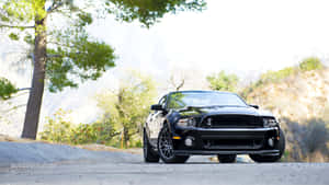 Ford Mustang 2013 Shelby Gt500 Car Wallpaper