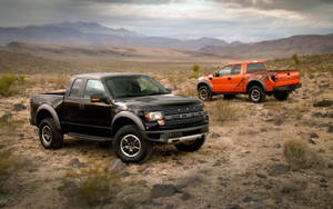 Ford Raptors Contrasting Colors Wallpaper