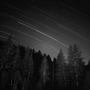 Forest Meteor Shower Dark Ipad Wallpaper