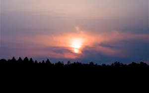 Forest Silhouette Sunset Desktop Wallpaper