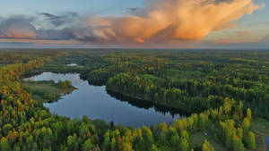 Forest View With Lake Wallpaper