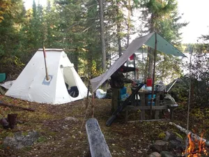Forest White Tent Wallpaper