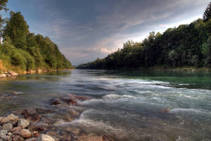 Forested Riverside In The Daytime Wallpaper