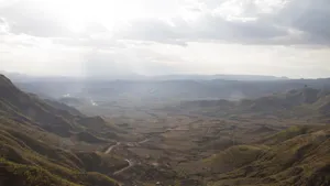 Forests In Lalibela's Coffee Regions Wallpaper