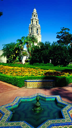 Fountain In San Diego Iphone Wallpaper