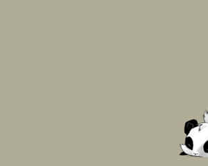 Four Cute Animals Enjoying A Summer Day Wallpaper