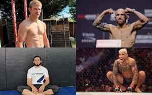 Four Fight Arnold Allen Wallpaper