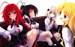 Four Girls Uniform High School Dxd Wallpaper