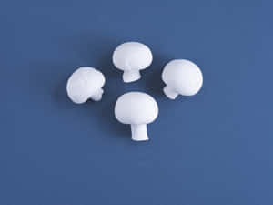 Four Mushroom Wallpaper