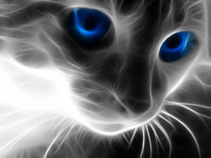 Fractal Cool Cat Blue Eyes Wallpaper