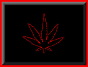 Framed Red Cannabis Leaf Wallpaper