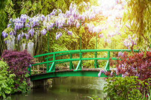 France's Monet's Garden Wallpaper