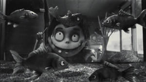 Frankenweenie Edgar Fascinated Fishes Wallpaper