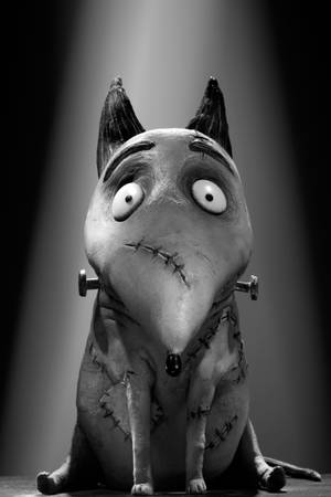 Frankenweenie Sparky Poster Wallpaper