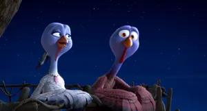 Free Birds Discussion At Night Wallpaper