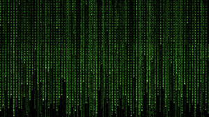 Free Your Mind In The Matrix Of Neon Green Wallpaper