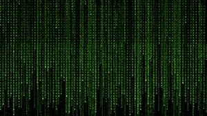 Free Your Mind In The Matrix Of Neon Green Wallpaper