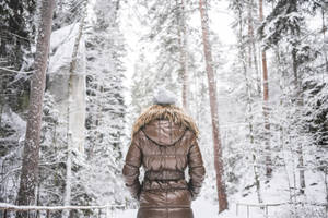 Freezing Temperature Of Forest In Snow Wallpaper