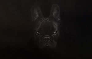 French Bulldog Fierce Look Black Camouflage Wallpaper