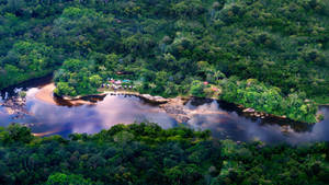 French Guiana River In Forest Wallpaper