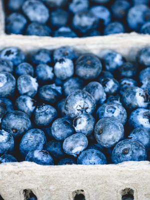 Fresh Blueberries Display Wallpaper