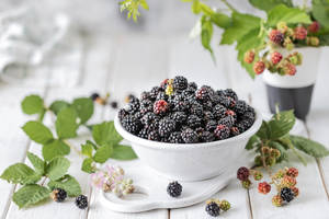 Fresh Boysenberry Hybrid Berry On The Bush Wallpaper