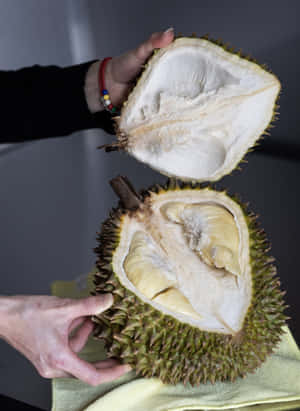 Fresh Durian Fruit Halved Wallpaper