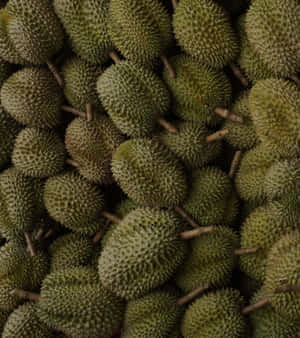 Fresh Durian Fruit Texture Wallpaper