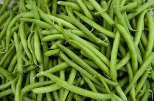 Fresh Green Beans In Abundance Wallpaper