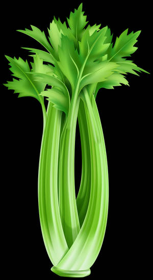 Fresh, Green Celery Stalks Growing In Marshland Wallpaper