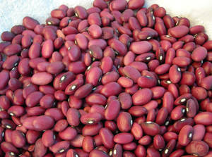 Fresh Kidney Beans Wallpaper