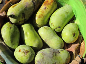 Fresh Pawpaw Fruit Basket Wallpaper