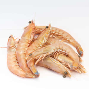 Fresh Prawns White Background Wallpaper