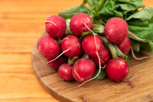 Freshly Harvested Globe Radishes Wallpaper