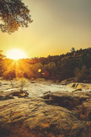 Full Screen Hd Sunrays Through Trees Wallpaper