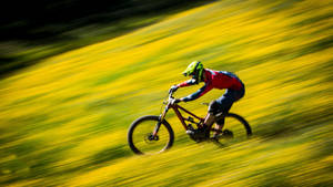 Full Speed Mtb Flower Farm Ride Wallpaper