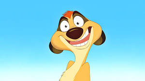 Fun Timon Smile Wallpaper