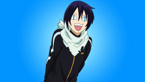 Funny Anime Yato's Cat Face Wallpaper