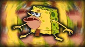 Funny Discord Avatar Impressions Wallpaper