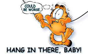 Funny Garfield Hang In There Wallpaper