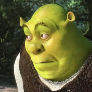 Funny Shrek Embarrassed Meme Wallpaper